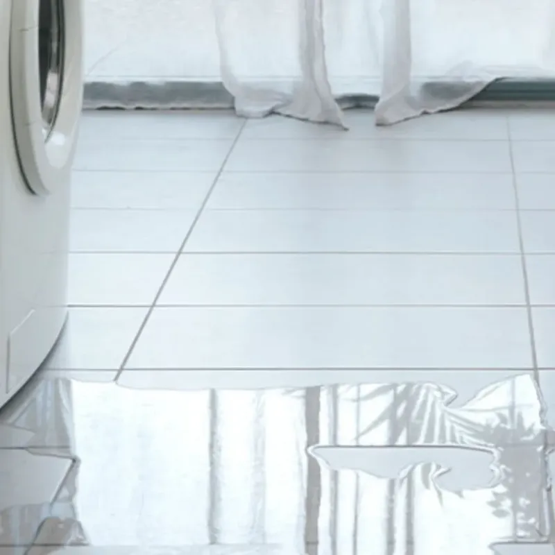 Appliance Leak Cleanup in Georgetown, IL