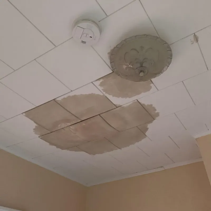 Ceiling Water Damage Repair in Georgetown, IL