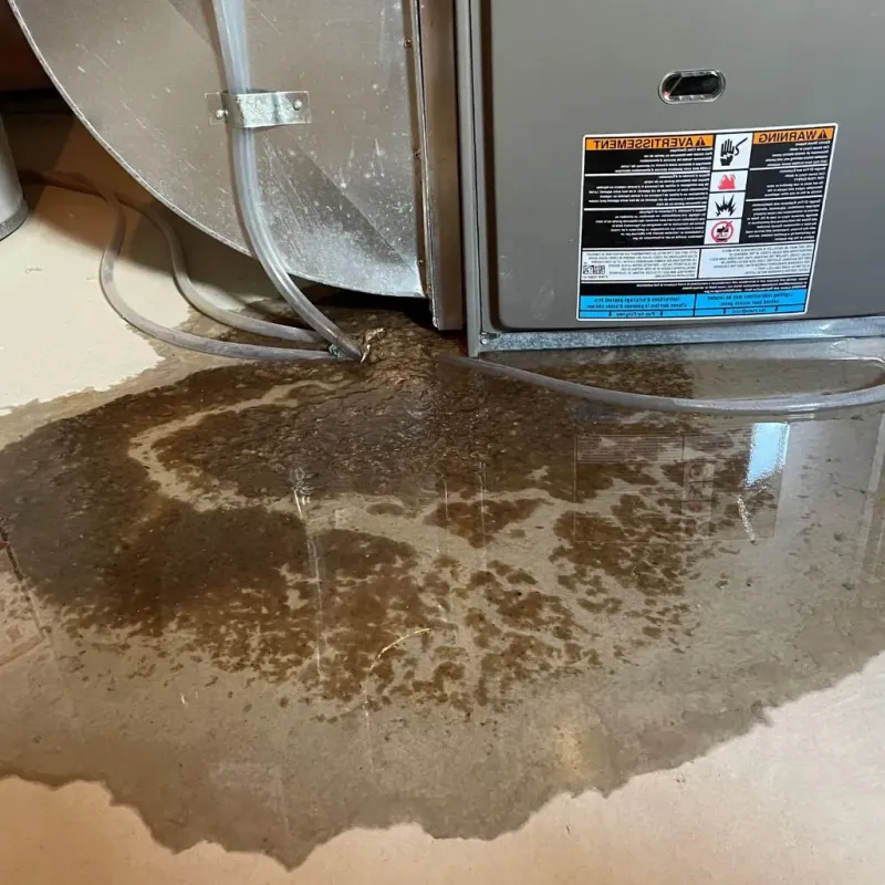 Pipe Burst and Leak Restoration in Georgetown, IL