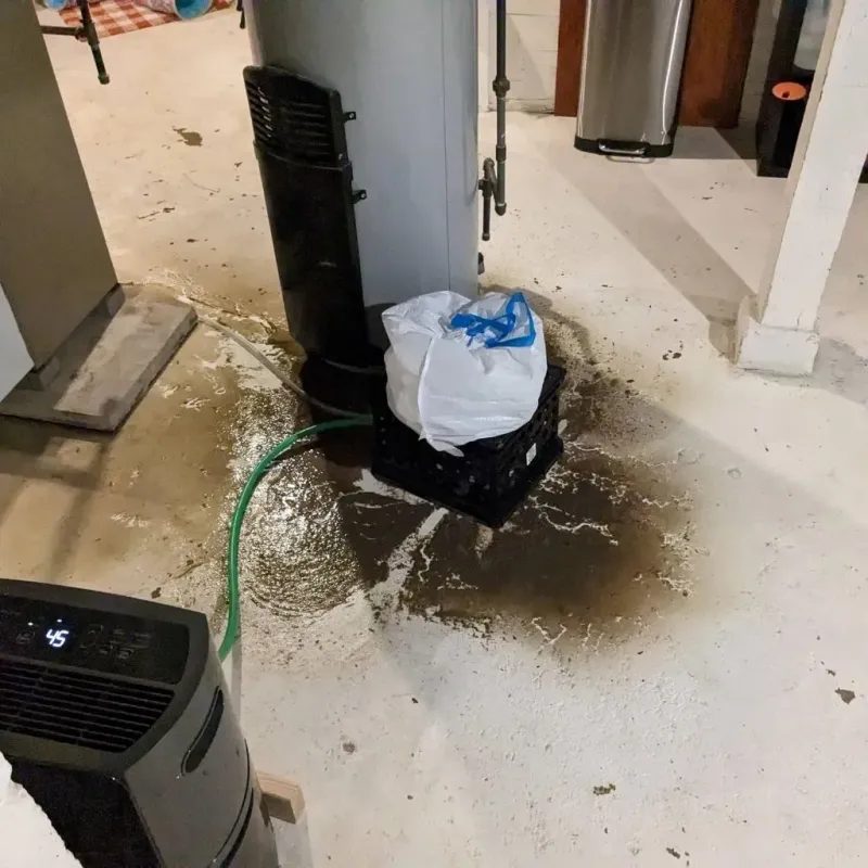 Sewage Backup Cleanup Service in Georgetown, IL